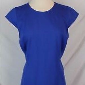 J. Crew Interview blue dress